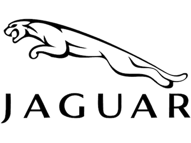 xasdad